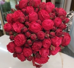 Букет из 25 кустовых роз РЕД ПИАНО с лентой Букет из 25 кустовых роз РЕД ПИАНО с лентой